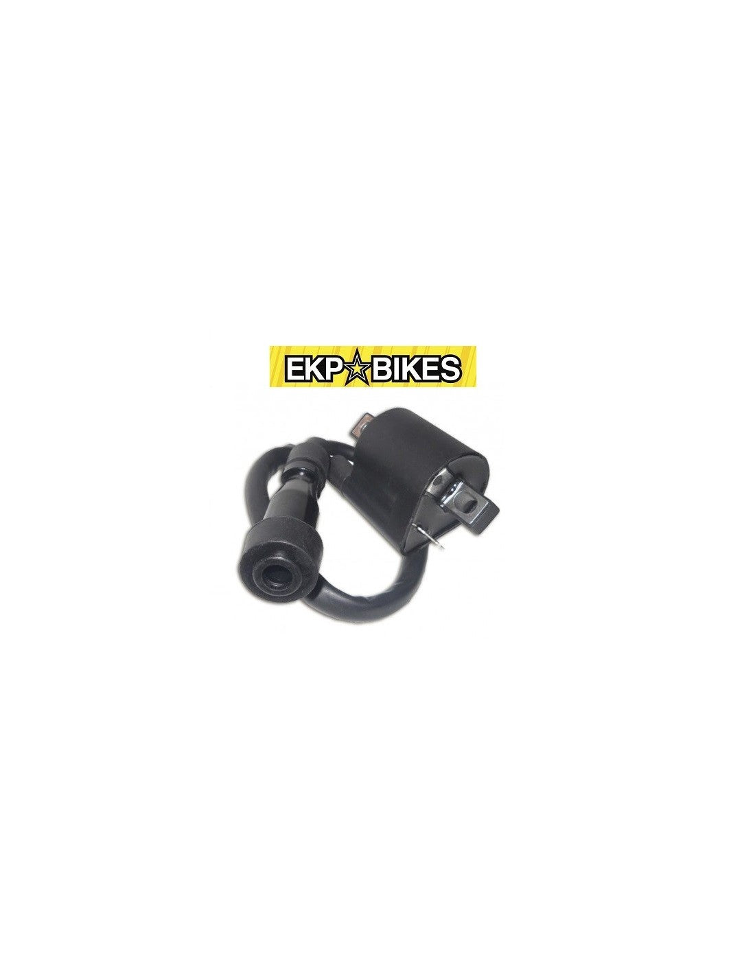 Bobina Altas Pit Bike 2 Masas