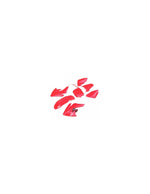 Kit plasticos CRF70 pit bike COLORES